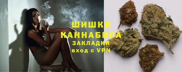 прущие грибы Балабаново