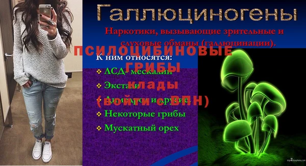винт Балахна