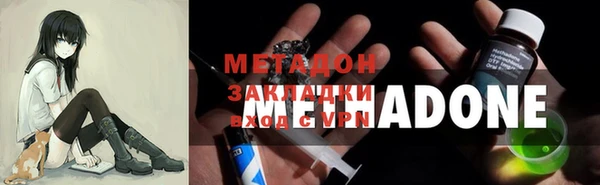 прущие грибы Балабаново