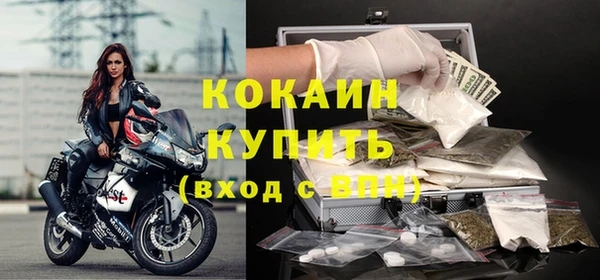 прущие грибы Балабаново