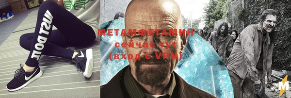 прущие грибы Балабаново