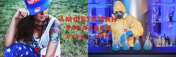 прущие грибы Балабаново