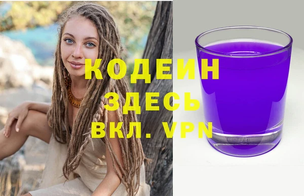 прущие грибы Балабаново