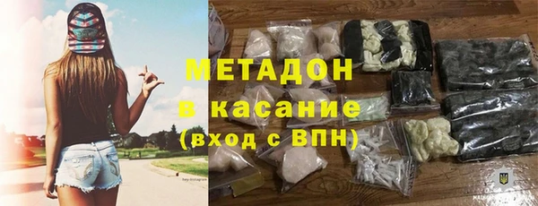 прущие грибы Балабаново