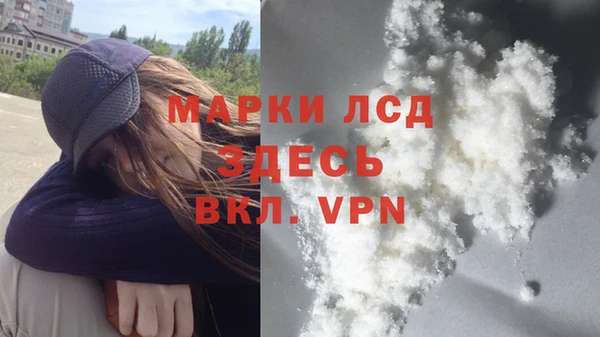 прущие грибы Балабаново